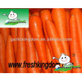 Zanahoria barata en buena calidad, zanahoria fresca de China en el mejor vendedor